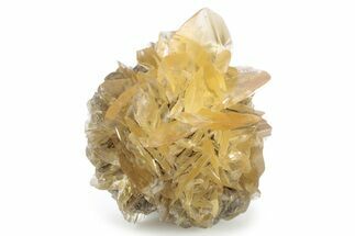 Twinned Selenite Crystals (Fluorescent) - Red River Floodway #242622