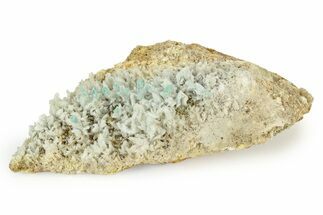 White and Teal Aragonite Formation - Pilhuatepec, Mexico #242655
