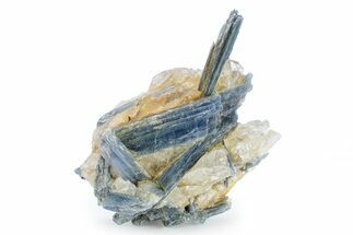 Vibrant Blue Kyanite Crystals In Quartz - Brazil #242797