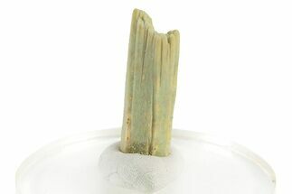 Sage-Green Plumbogummite After Pyromorphite -Yangshuo Mine, China #242800