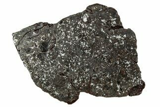 Polished Stony-Iron Mesosiderite Meteorite ( g) - Chile #242896