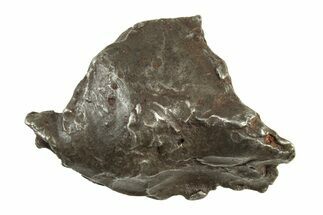 Sikhote-Alin Iron Meteorite ( g) - Russia #243163