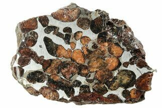 Polished Sericho Pallasite Meteorite ( g) - Kenya #242936