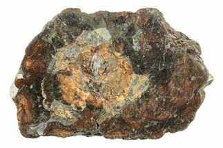 Polished Sericho Pallasite Meteorite ( grams) - Kenya #243353