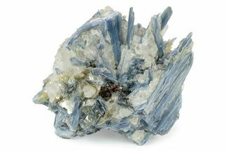 Vibrant Blue Kyanite Crystals In Quartz - Brazil #243596