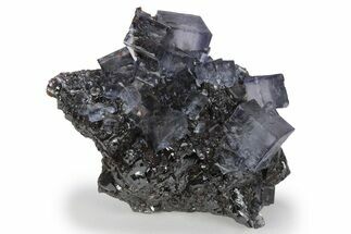 Purple Cubic Fluorite Crystals on Sphalerite - Elmwood Mine #244238