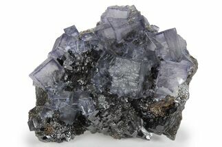 Purple Cubic Fluorite Crystals on Sphalerite - Elmwood Mine #244241