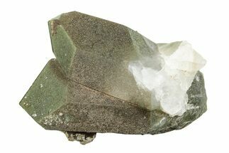 Chlorite Included Quartz Crystal Cluster - Pakistan #244304
