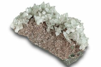 Gemmy Apophyllite Crystal Cluster - Pune District, India #244495