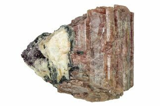 Colorful Tourmaline (Elbaite) in Microcline - Leduc Mine, Quebec #244901