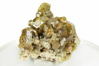 Yellow Andradite-Grossular Garnet Cluster with Clinochlore - Mali #245219