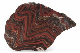 Polished Tiger Iron Stromatolite Slab - Billion Years #221839