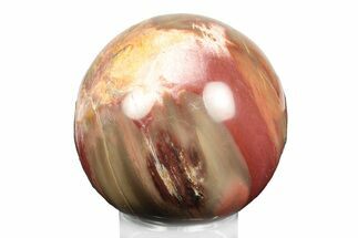 Colorful Petrified Wood (Araucaria) Sphere - Madagascar #245533