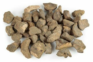 Agoudal Iron Meteorites (- grams) - High Atlas Mountains, Morocco #245871