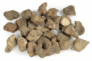 Agoudal Iron Meteorites (- grams) - Morocco #245872