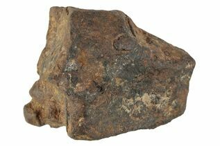 Agoudal Meteorites For Sale