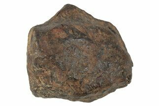 Agoudal Iron Meteorite ( g) - Morocco #245612