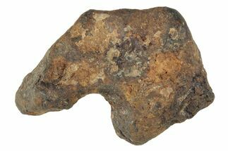 Agoudal Iron Meteorite ( grams) - Morocco #245617