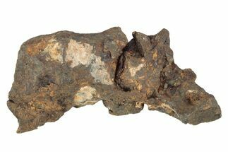 Agoudal Iron Meteorite ( grams) - Morocco #245622
