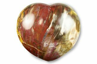 Polished Triassic Petrified Wood Heart - Madagascar #246091