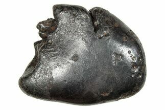 Fusion Crusted Sikhote-Alin Iron Meteorite ( grams) - Russia #246934