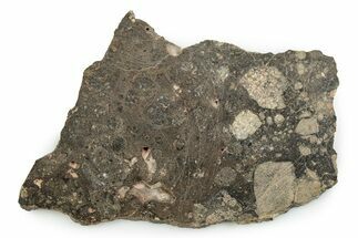 Polished Achondrite Meteorite ( grams) Slice - Africa #247018