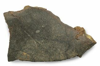 Polished Northbranch Meteorite Slice ( g) - Kansas #247041