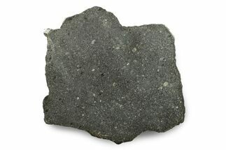 Polished Ghubara Meteorite Slice ( grams) - Oman #247049