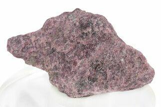 Eudialyte Specimen - Kukisvumchorr Mountain, Russia #247183
