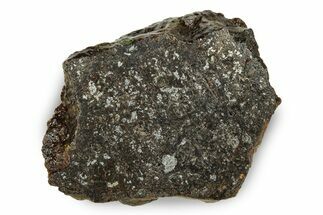 Polished Vaca Muerta Mesosiderite Meteorite ( grams) - Chile #246987