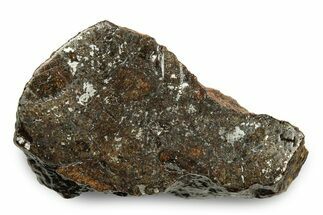 Polished Vaca Muerta Mesosiderite Meteorite ( g) - Chile #246993