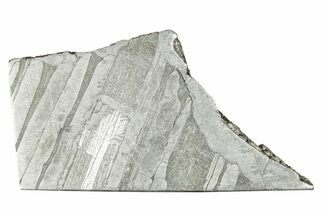 Etched Seymchan Pallasite Slice ( grams) - Russia #247038