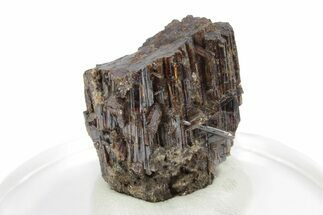 Lustrous, Red-Brown Rutile Crystal - Québec, Canada #247278