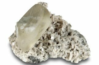 Marcasite Included Calcite Crystal with Dolomite - New York #247233
