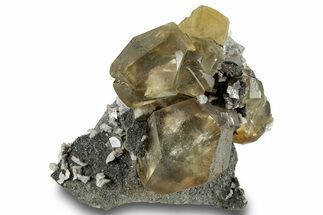 Marcasite Included Calcite Crystals with Dolomite - New York #247242