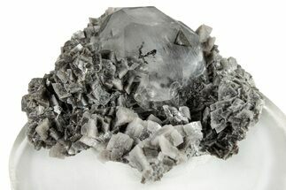 Lustrous Calcite Crystal on Dolomite - New York #247243