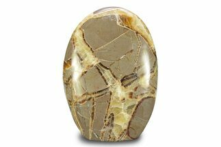 Free-Standing, Polished Septarian - Madagascar #247554