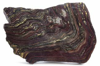 Polished Tiger Iron Stromatolite Slab - Billion Years #247782