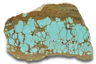 Polished Turquoise Slab - Number Mine, Carlin, NV #248343