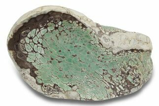 Polished Pastel Green Variscite Section - Amatrice Hill, Utah #248348