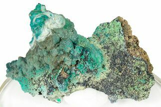 Forest Green Conichalcite with Chrysocolla - Namibia #247976