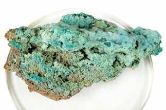 Green Conichalcite with Chrysocolla - Namibia #247980
