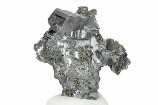 Metallic Bournonite Crystal Cluster w/ Pyrite & Quartz - Bolivia #248468