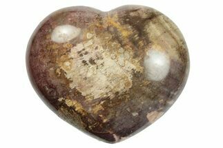 Polished Triassic Petrified Wood Heart - Madagascar #249191