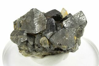 Translucent Cassiterite Crystals on Quartz -Viloco Mine, Bolivia #249647