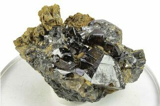 Gemmy Cassiterite Crystals with Siderite - Viloco Mine, Bolivia #249658