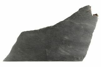 Guadalupe y Calvo Iron Meteorite Slice ( grams) - Mexico #249922