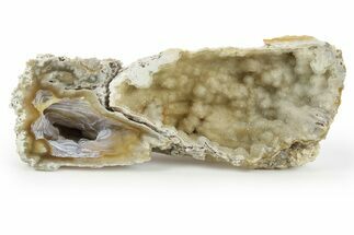 Sparkling, Agatized Fossil Coral Geode - Florida #250939