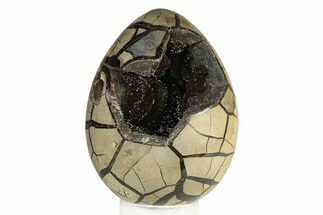 Septarian Dragon Egg Geode - Black Crystals #250969