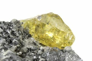 Glassy Yellow Anglesite Crystal on Galena - Morocco #251506